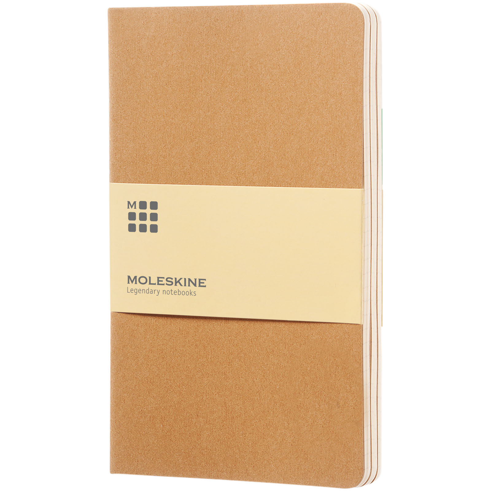 Moleskine Cahier Journal L – linjerad