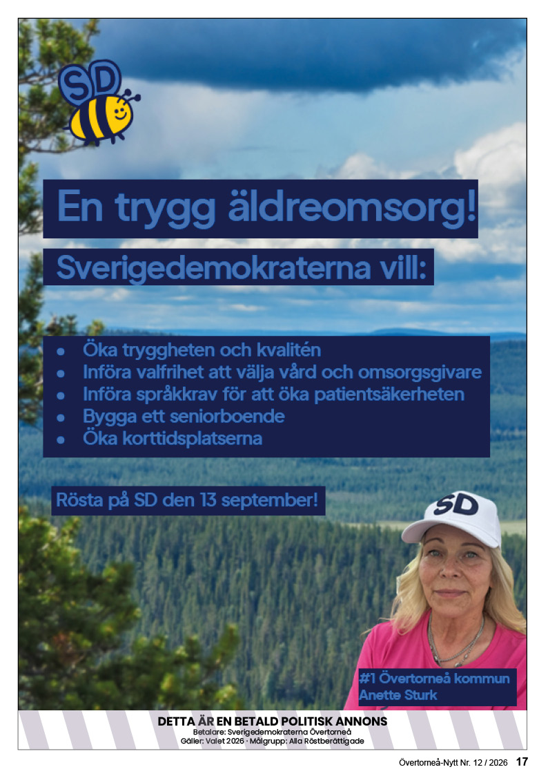 Sida 17